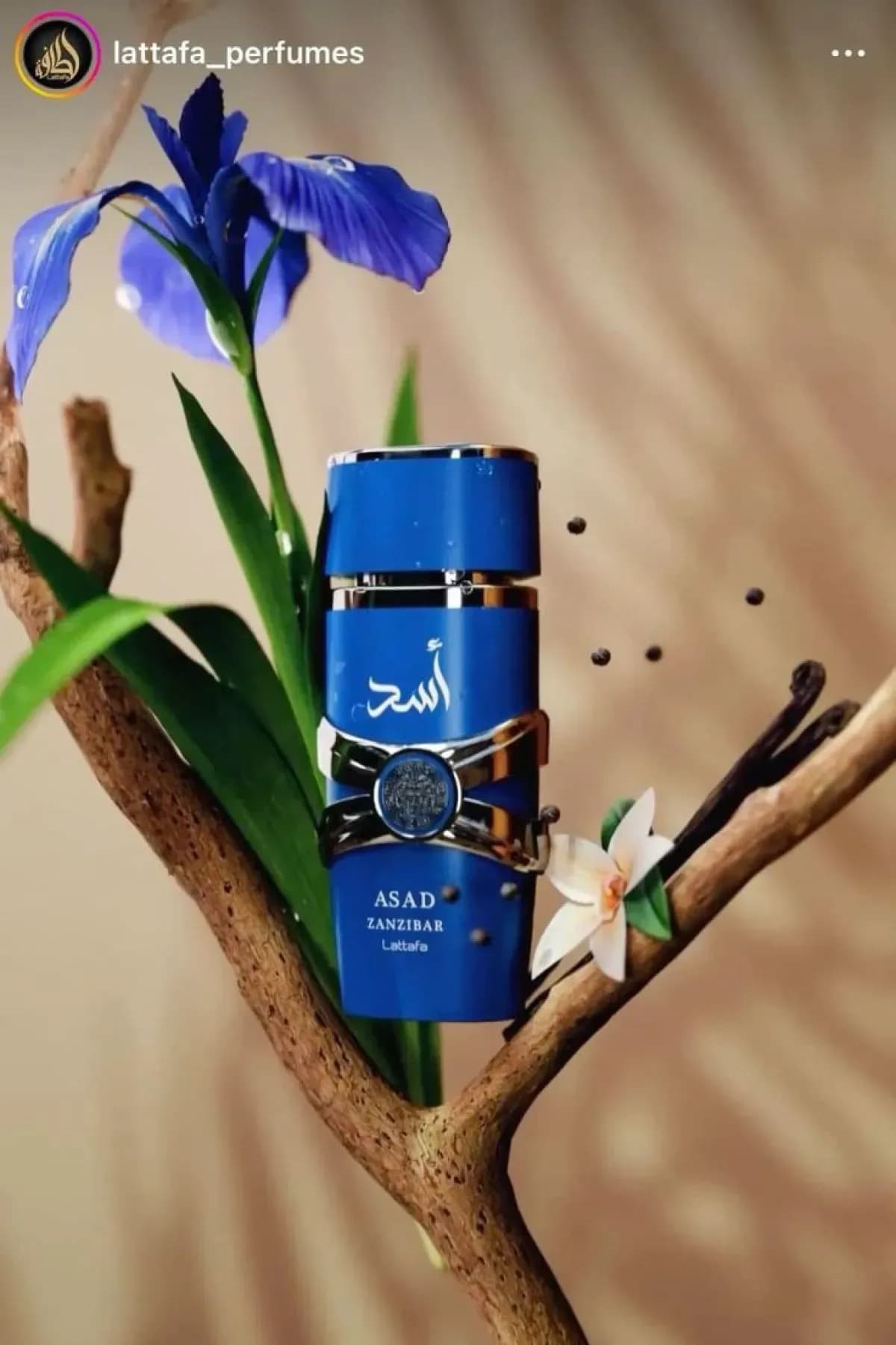 Lattafa Asad Zanzibar 40ml